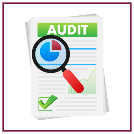 Audit seo