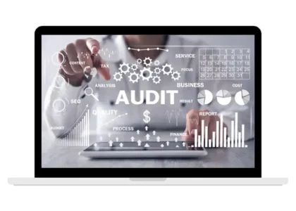 Business Seo audit and analysis dashboard