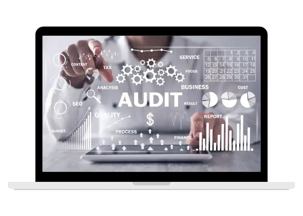 Business Seo audit and analysis dashboard