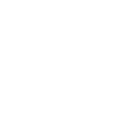 Local SEO Icon